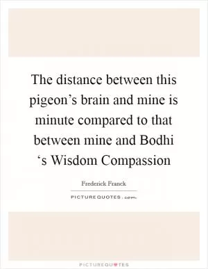The distance between this pigeon’s brain and mine is minute compared to that between mine and Bodhi ‘s Wisdom Compassion Picture Quote #1