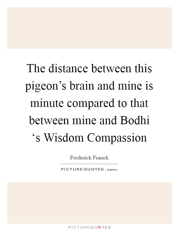 The distance between this pigeon's brain and mine is minute compared to that between mine and Bodhi ‘s Wisdom Compassion Picture Quote #1