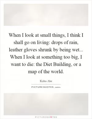 When I look at small things, I think I shall go on living: drops of rain, leather gloves shrunk by being wet... When I look at something too big, I want to die: the Diet Building, or a map of the world Picture Quote #1