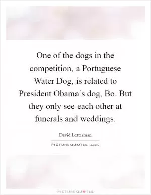 One of the dogs in the competition, a Portuguese Water Dog, is related to President Obama’s dog, Bo. But they only see each other at funerals and weddings Picture Quote #1