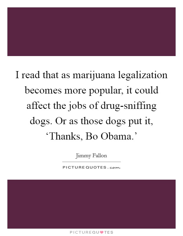 I read that as marijuana legalization becomes more popular, it could affect the jobs of drug-sniffing dogs. Or as those dogs put it, ‘Thanks, Bo Obama.' Picture Quote #1