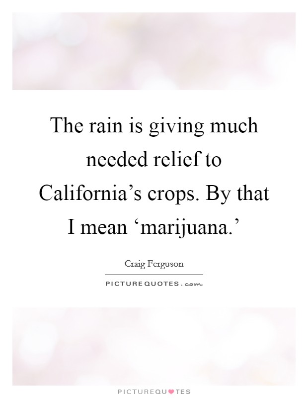 The rain is giving much needed relief to California's crops. By that I mean ‘marijuana.' Picture Quote #1