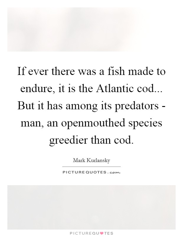 If ever there was a fish made to endure, it is the Atlantic cod... But it has among its predators - man, an openmouthed species greedier than cod Picture Quote #1