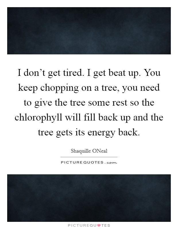 I don't get tired. I get beat up. You keep chopping on a tree, you need to give the tree some rest so the chlorophyll will fill back up and the tree gets its energy back Picture Quote #1