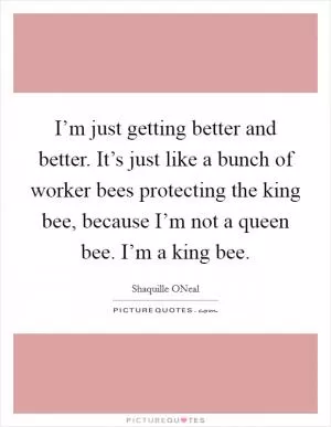 I’m just getting better and better. It’s just like a bunch of worker bees protecting the king bee, because I’m not a queen bee. I’m a king bee Picture Quote #1