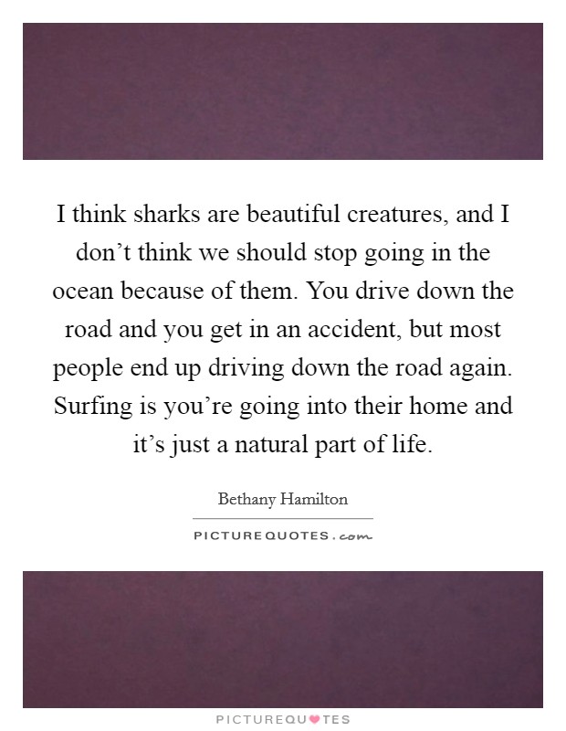 I think sharks are beautiful creatures, and I don't think we should stop going in the ocean because of them. You drive down the road and you get in an accident, but most people end up driving down the road again. Surfing is you're going into their home and it's just a natural part of life Picture Quote #1