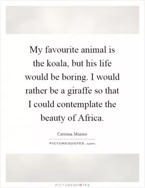 My favourite animal is the koala, but his life would be boring. I would rather be a giraffe so that I could contemplate the beauty of Africa Picture Quote #1