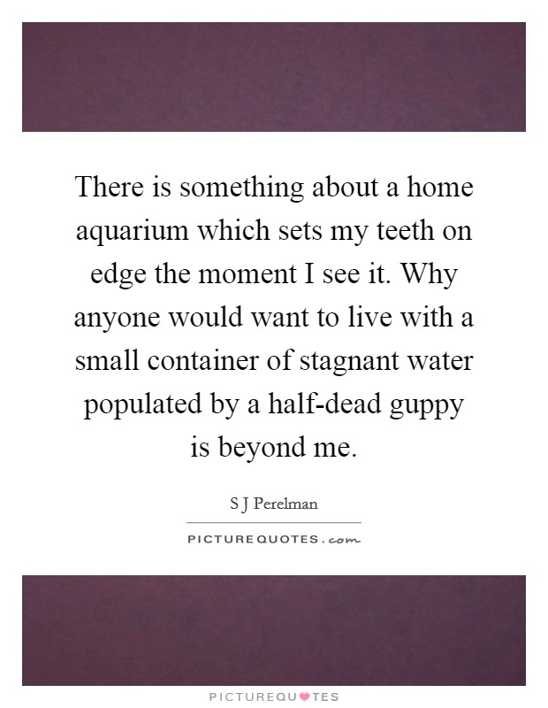There is something about a home aquarium which sets my teeth on edge the moment I see it. Why anyone would want to live with a small container of stagnant water populated by a half-dead guppy is beyond me Picture Quote #1