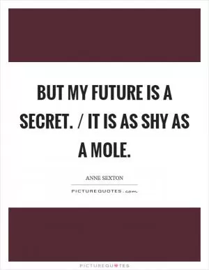 But my future is a secret. / It is as shy as a mole Picture Quote #1