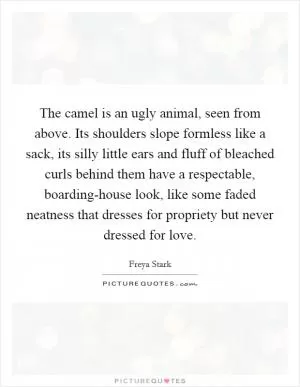 The camel is an ugly animal, seen from above. Its shoulders slope formless like a sack, its silly little ears and fluff of bleached curls behind them have a respectable, boarding-house look, like some faded neatness that dresses for propriety but never dressed for love Picture Quote #1