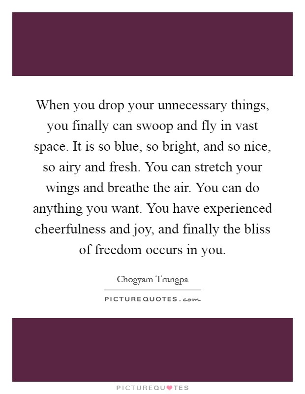 When you drop your unnecessary things, you finally can swoop and fly in vast space. It is so blue, so bright, and so nice, so airy and fresh. You can stretch your wings and breathe the air. You can do anything you want. You have experienced cheerfulness and joy, and finally the bliss of freedom occurs in you Picture Quote #1