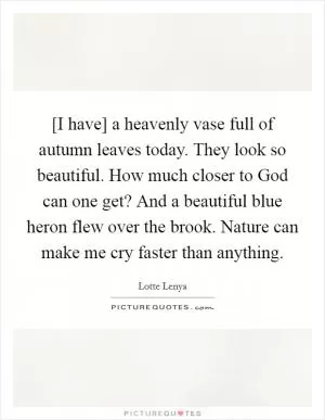 [I have] a heavenly vase full of autumn leaves today. They look so beautiful. How much closer to God can one get? And a beautiful blue heron flew over the brook. Nature can make me cry faster than anything Picture Quote #1