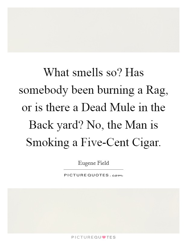 What smells so? Has somebody been burning a Rag, or is there a Dead Mule in the Back yard? No, the Man is Smoking a Five-Cent Cigar Picture Quote #1