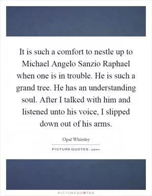 It is such a comfort to nestle up to Michael Angelo Sanzio Raphael when one is in trouble. He is such a grand tree. He has an understanding soul. After I talked with him and listened unto his voice, I slipped down out of his arms Picture Quote #1
