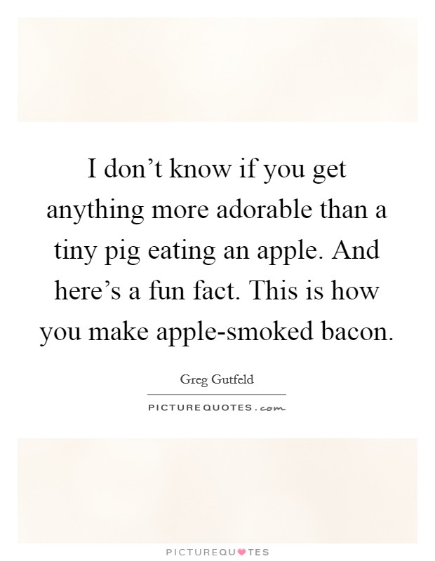 I don't know if you get anything more adorable than a tiny pig eating an apple. And here's a fun fact. This is how you make apple-smoked bacon Picture Quote #1