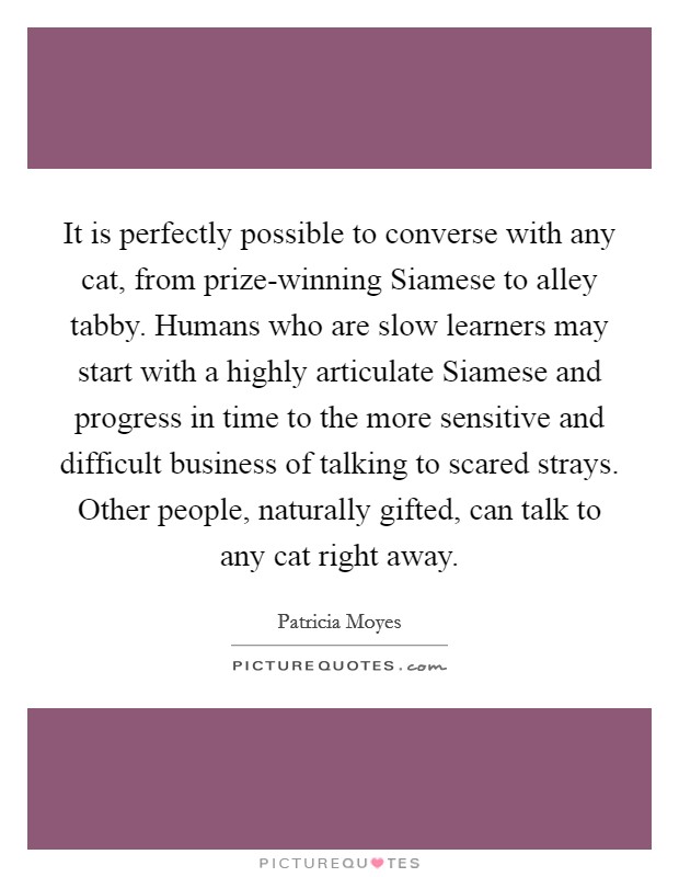 It is perfectly possible to converse with any cat, from prize-winning Siamese to alley tabby. Humans who are slow learners may start with a highly articulate Siamese and progress in time to the more sensitive and difficult business of talking to scared strays. Other people, naturally gifted, can talk to any cat right away Picture Quote #1