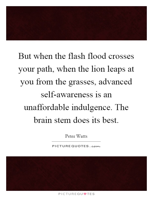 But when the flash flood crosses your path, when the lion leaps at you from the grasses, advanced self-awareness is an unaffordable indulgence. The brain stem does its best Picture Quote #1