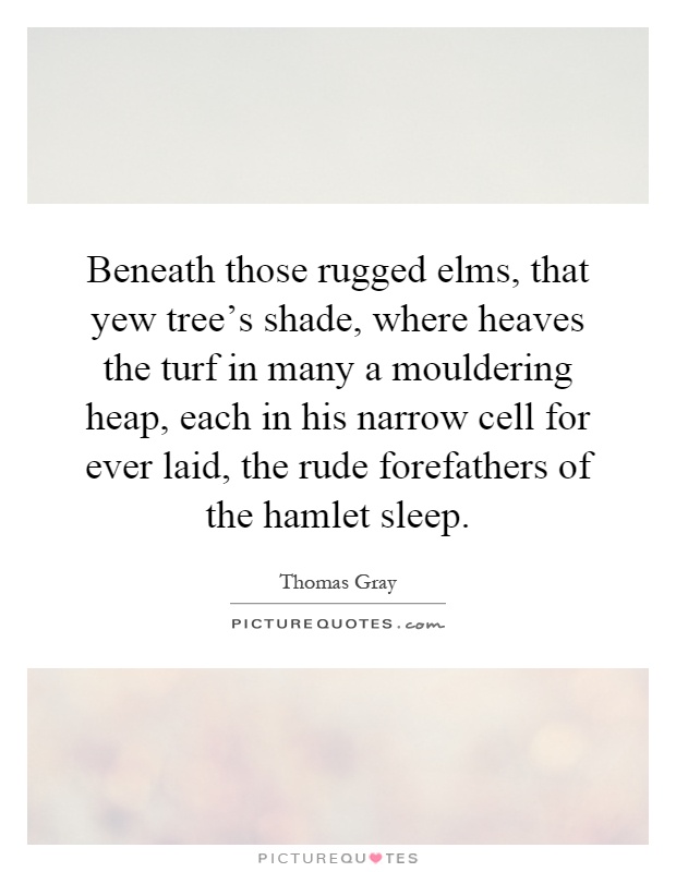 Beneath those rugged elms, that yew tree's shade, where heaves the turf in many a mouldering heap, each in his narrow cell for ever laid, the rude forefathers of the hamlet sleep Picture Quote #1