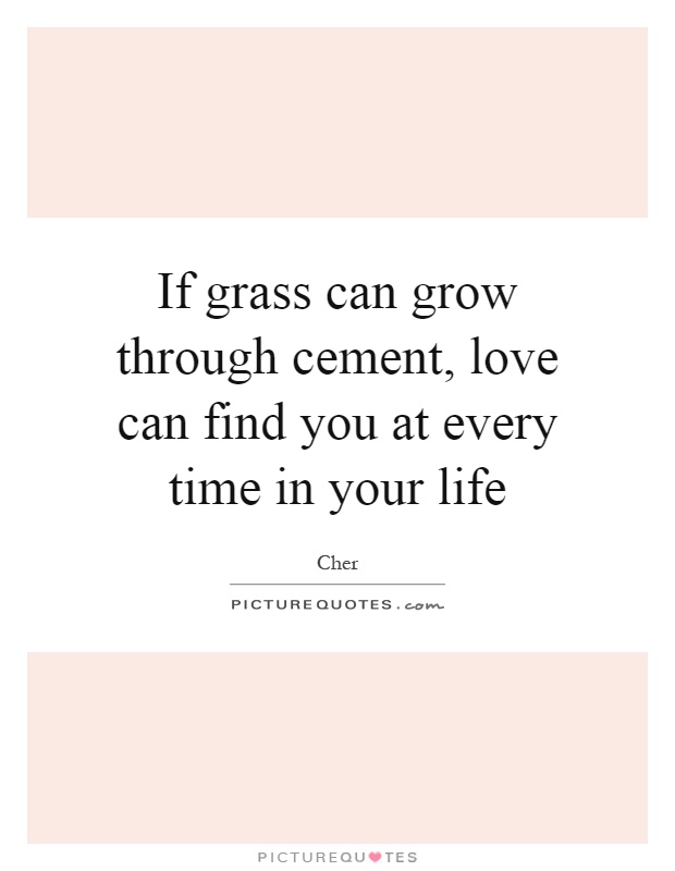If grass can grow through cement, love can find you at every time in your life Picture Quote #1