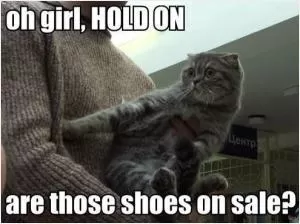 Oh girl, HOLD ON, are those shoes on sale? Picture Quote #1