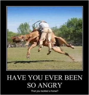 Have you ever been so angry that you tackled a horse Picture Quote #1
