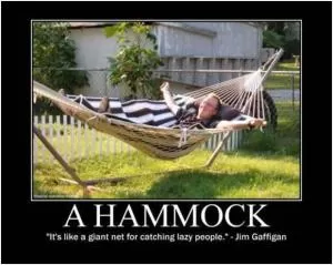A hammock. It’s like a giant net for catching lazy people Picture Quote #1