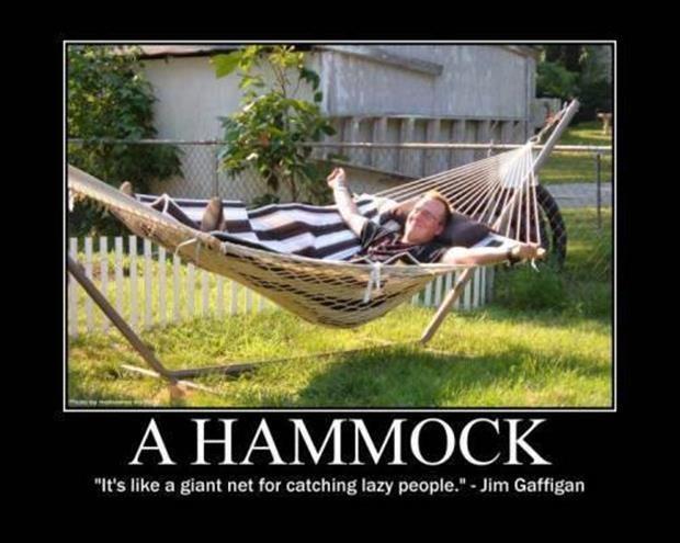 A hammock. It's like a giant net for catching lazy people Picture Quote #1