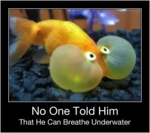 No one told him that he can breathe underwater Picture Quote #1