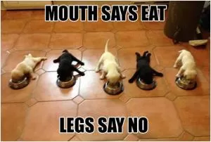 Mouth says eat. Legs say no Picture Quote #1