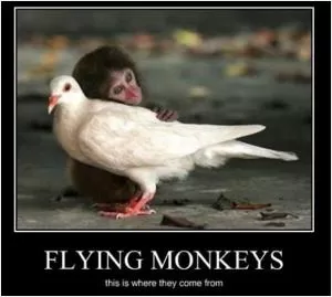 Flying monkeys - this is where they come from Picture Quote #1