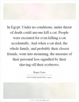 In Egypt: Under no conditions, under threat of death could anyone kill a cat. People were exceuted for even killing a cat accidentally. And when a cat died, the whole family, and probably their closest friends, went into mourning, the measure of their personal loss signalled by their shaving off their eyebrows Picture Quote #1