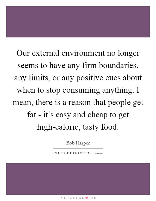Our external environment no longer seems to have any firm boundaries, any limits, or any positive cues about when to stop consuming anything. I mean, there is a reason that people get fat - it's easy and cheap to get high-calorie, tasty food Picture Quote #1