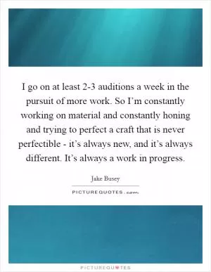 I go on at least 2-3 auditions a week in the pursuit of more work. So I’m constantly working on material and constantly honing and trying to perfect a craft that is never perfectible - it’s always new, and it’s always different. It’s always a work in progress Picture Quote #1