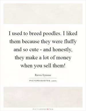 I used to breed poodles. I liked them because they were fluffy and so cute - and honestly, they make a lot of money when you sell them! Picture Quote #1