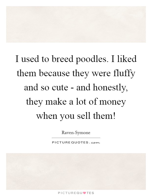 I used to breed poodles. I liked them because they were fluffy and so cute - and honestly, they make a lot of money when you sell them! Picture Quote #1