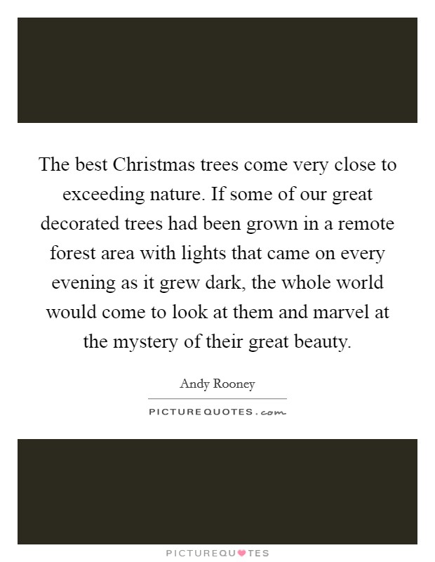 The best Christmas trees come very close to exceeding nature. If some of our great decorated trees had been grown in a remote forest area with lights that came on every evening as it grew dark, the whole world would come to look at them and marvel at the mystery of their great beauty Picture Quote #1