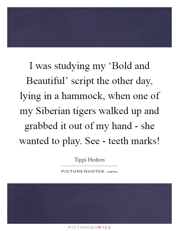 I was studying my ‘Bold and Beautiful' script the other day, lying in a hammock, when one of my Siberian tigers walked up and grabbed it out of my hand - she wanted to play. See - teeth marks! Picture Quote #1