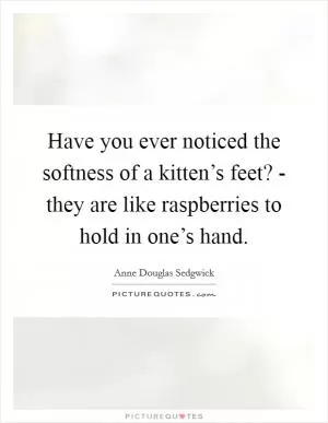 Have you ever noticed the softness of a kitten’s feet? - they are like raspberries to hold in one’s hand Picture Quote #1
