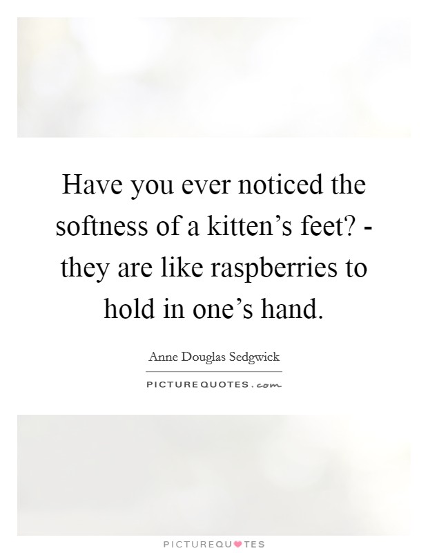 Have you ever noticed the softness of a kitten's feet? - they are like raspberries to hold in one's hand Picture Quote #1