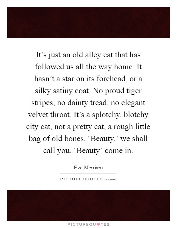 It's just an old alley cat that has followed us all the way home. It hasn't a star on its forehead, or a silky satiny coat. No proud tiger stripes, no dainty tread, no elegant velvet throat. It's a splotchy, blotchy city cat, not a pretty cat, a rough little bag of old bones. ‘Beauty,' we shall call you. ‘Beauty' come in Picture Quote #1
