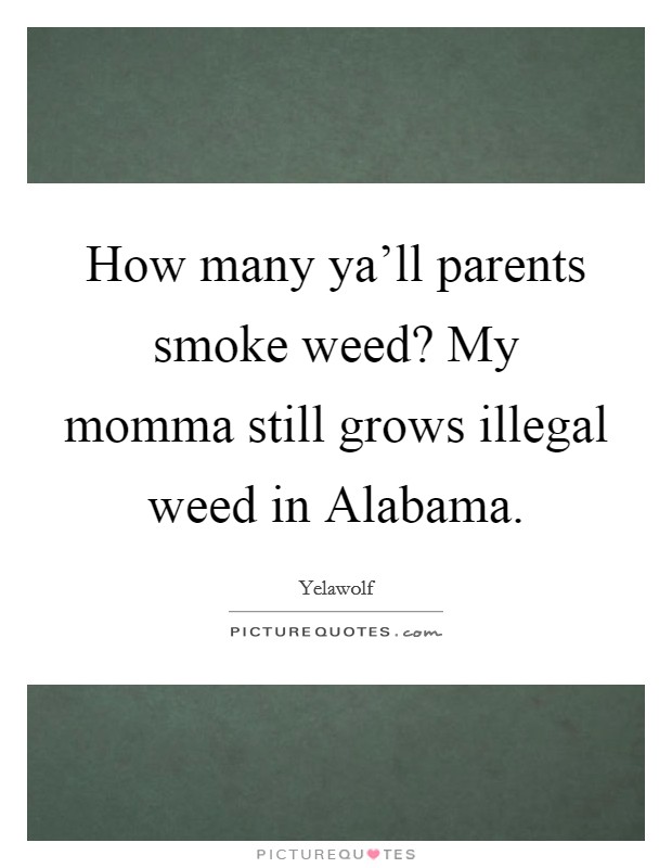 How many ya'll parents smoke weed? My momma still grows illegal weed in Alabama Picture Quote #1
