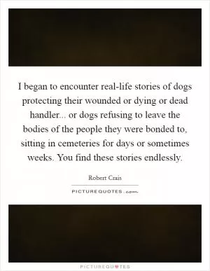 I began to encounter real-life stories of dogs protecting their wounded or dying or dead handler... or dogs refusing to leave the bodies of the people they were bonded to, sitting in cemeteries for days or sometimes weeks. You find these stories endlessly Picture Quote #1