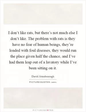 I don’t like rats, but there’s not much else I don’t like. The problem with rats is they have no fear of human beings, they’re loaded with foul diseases, they would run the place given half the chance, and I’ve had them leap out of a lavatory while I’ve been sitting on it Picture Quote #1