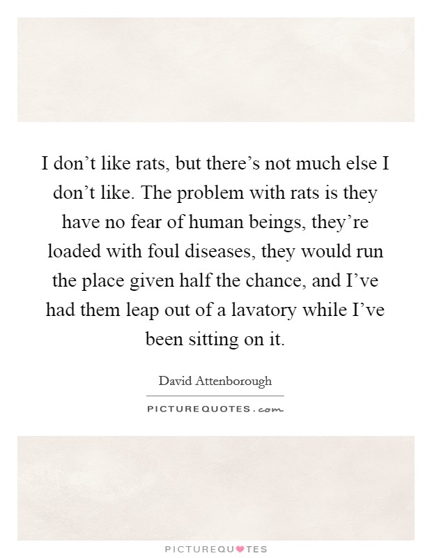 I don't like rats, but there's not much else I don't like. The problem with rats is they have no fear of human beings, they're loaded with foul diseases, they would run the place given half the chance, and I've had them leap out of a lavatory while I've been sitting on it Picture Quote #1