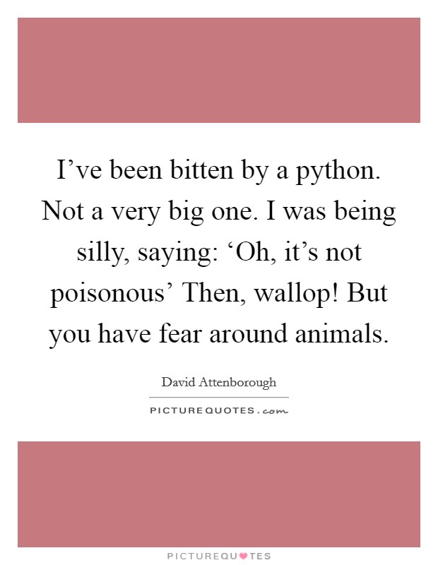 I've been bitten by a python. Not a very big one. I was being silly, saying: ‘Oh, it's not poisonous' Then, wallop! But you have fear around animals Picture Quote #1