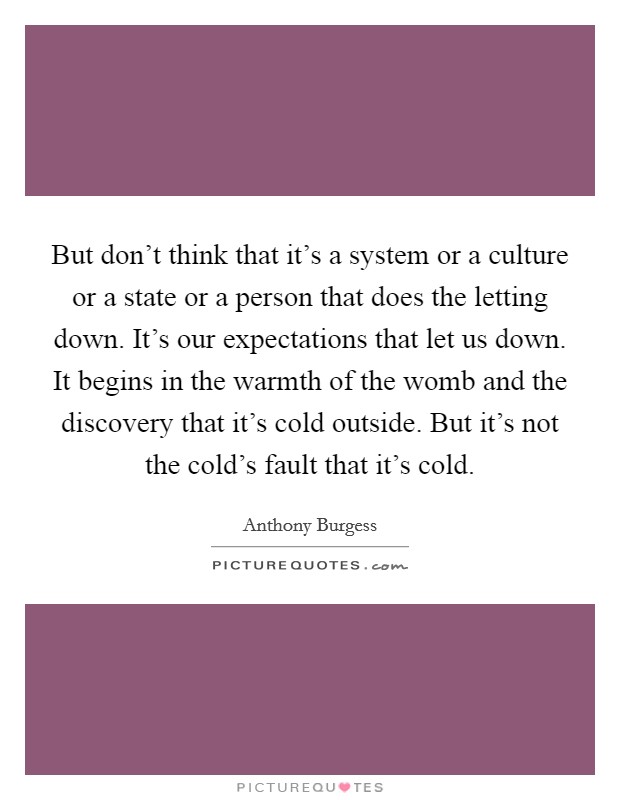But don't think that it's a system or a culture or a state or a person that does the letting down. It's our expectations that let us down. It begins in the warmth of the womb and the discovery that it's cold outside. But it's not the cold's fault that it's cold Picture Quote #1