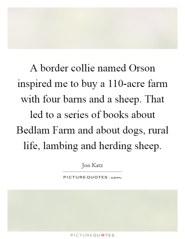 A border collie named Orson inspired me to buy a 110-acre farm with four barns and a sheep. That led to a series of books about Bedlam Farm and about dogs, rural life, lambing and herding sheep Picture Quote #1