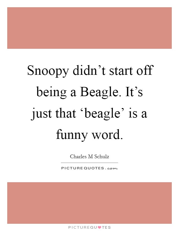 Snoopy didn't start off being a Beagle. It's just that ‘beagle' is a funny word Picture Quote #1