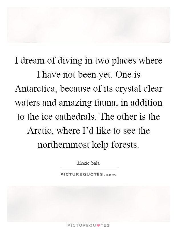 I dream of diving in two places where I have not been yet. One is Antarctica, because of its crystal clear waters and amazing fauna, in addition to the ice cathedrals. The other is the Arctic, where I'd like to see the northernmost kelp forests Picture Quote #1