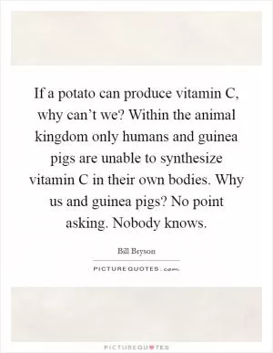 If a potato can produce vitamin C, why can’t we? Within the animal kingdom only humans and guinea pigs are unable to synthesize vitamin C in their own bodies. Why us and guinea pigs? No point asking. Nobody knows Picture Quote #1